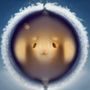 林文博，古典文化研究学者，专注东西方经典著作比较研究，戴眼镜的中年男性学者形象